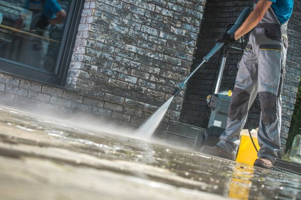 Animal Enclosure Cleaning in Wildwood, FL