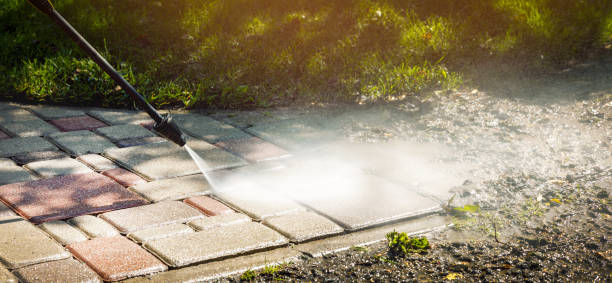 Best Roof Washing  in Wildwood, FL